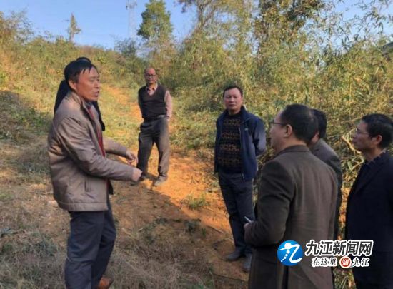 QQ截图20181128110729